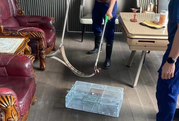 “不速之客”夜闯民宅，男子一觉醒来吓得报警！