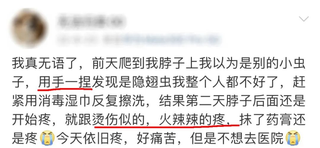 福州人注意!即将进入活跃期!有人中招脖子烂了一圈…… 福州人注意!即将进入活跃期!有人中招脖子烂了一圈……