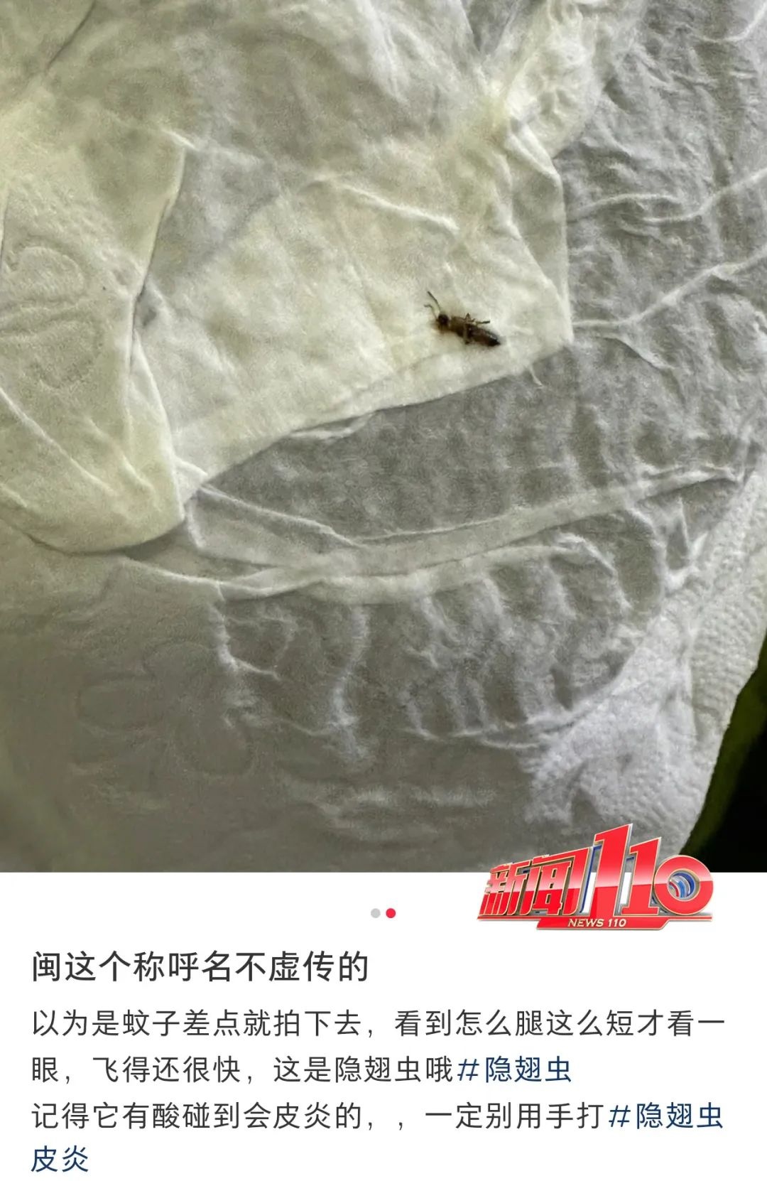 福州人注意!即将进入活跃期!有人中招脖子烂了一圈…… 福州人注意!即将进入活跃期!有人中招脖子烂了一圈……