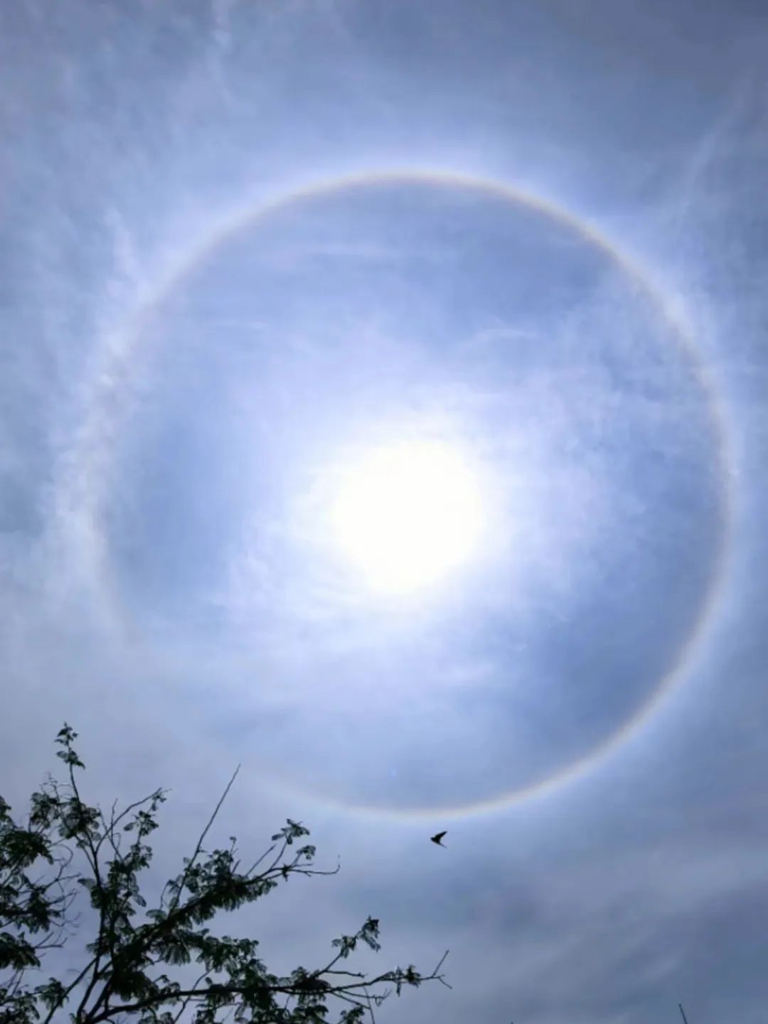 最新预警!暴雨、雷电、强对流!明起厦门天气将…… 最新预警!暴雨、雷电、强对流!明起厦门天气将……