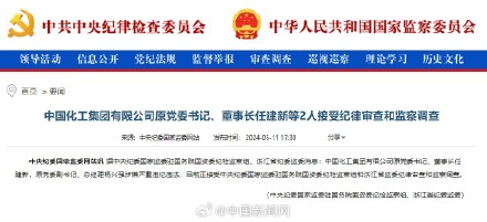 中国化工集团原董事长任建新接受审查调查