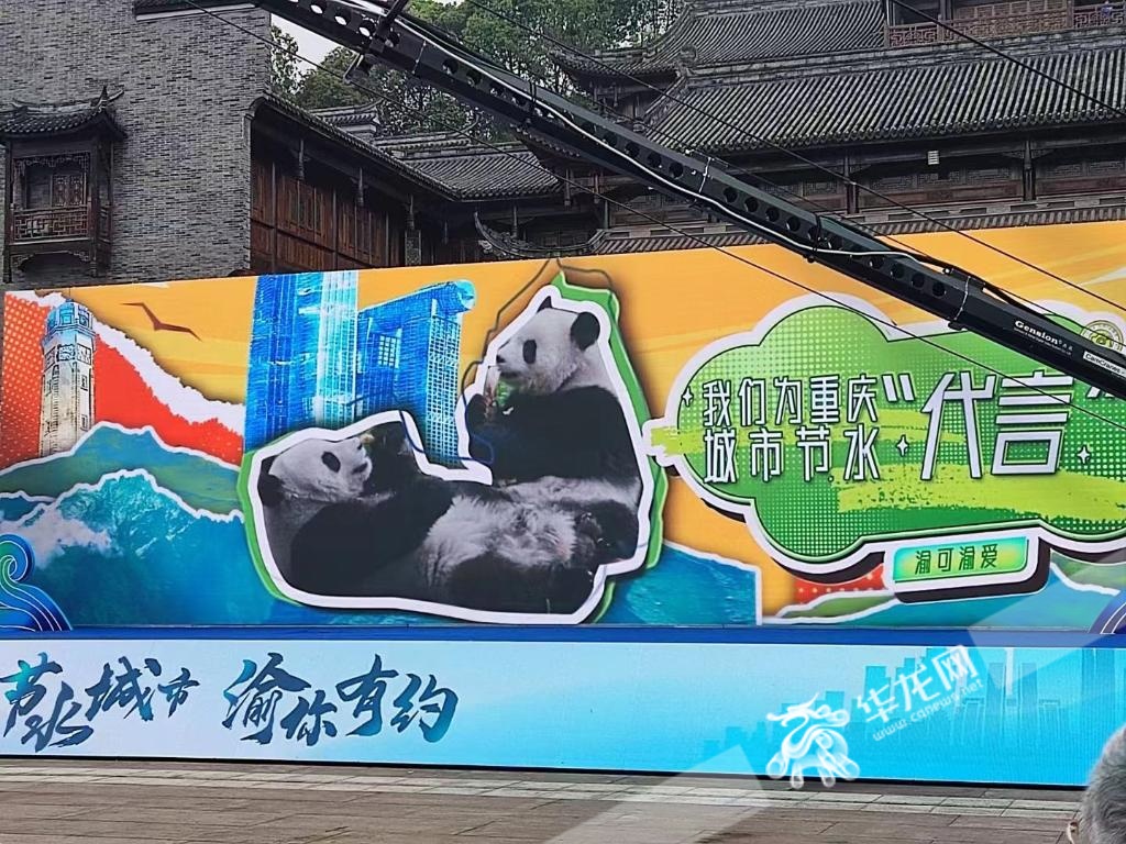 官宣!重庆“顶流”有新工作啦~ 官宣!重庆“顶流”有新工作啦~