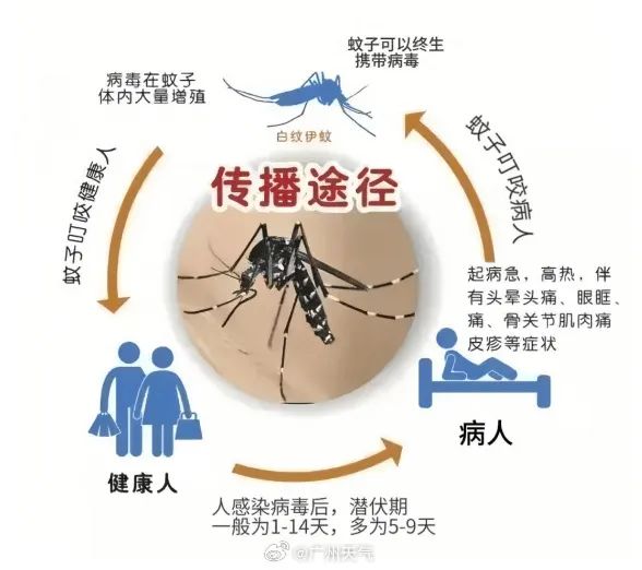 广东新一轮强降水来袭！冰雹+10级大风 周末又“泡汤”