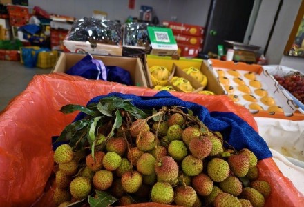 多个品种荔枝遭遇小小年，上市荔枝部分店卖30元一斤