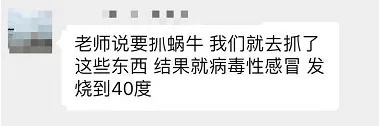 雨后看到这种“入侵物种”千万别碰！很危险！