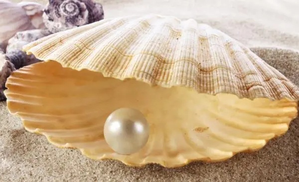 母亲节想送咱妈高质量的珍珠项链?快来看→ 母亲节想送咱妈高质量的珍珠项链?快来看→