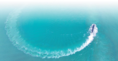 乐守海岛 &nbsp;勇闯大洋