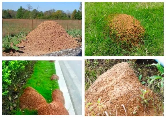 警惕！福建3岁男孩差点丧命！千万别碰！