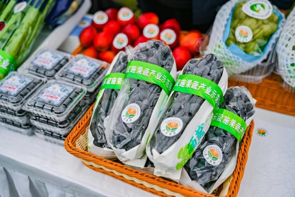 沈阳，一个意想不到的农业大市