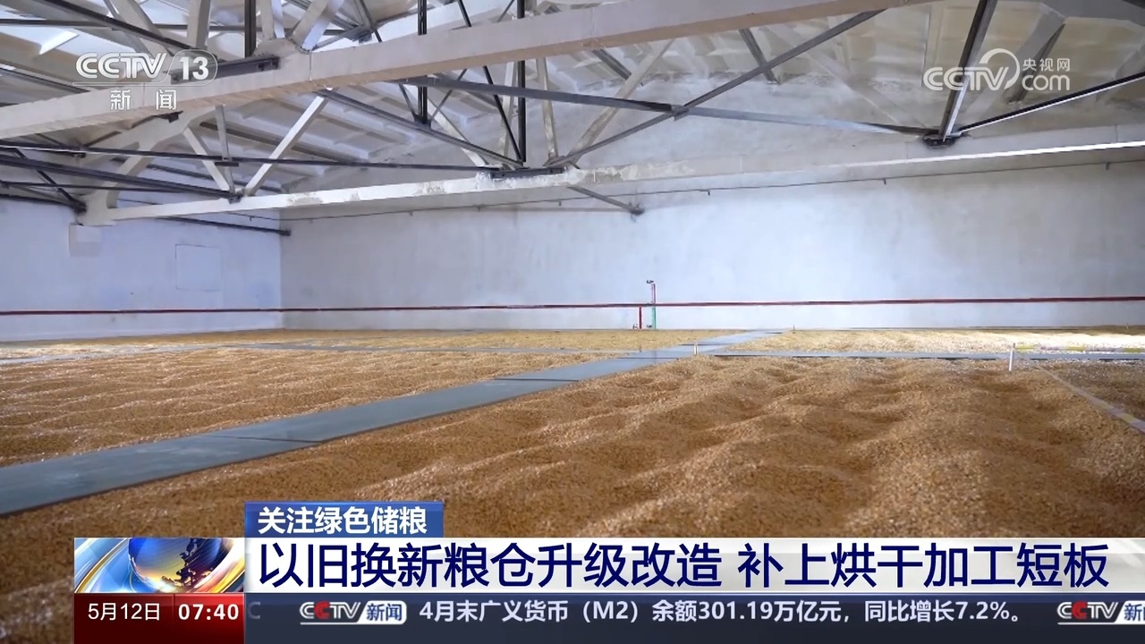全国绿色储粮仓容超两亿吨 夯实粮食仓储能力、筑牢粮食安全防线