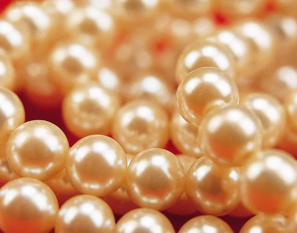 母亲节想送咱妈高质量的珍珠项链?快来看→ 母亲节想送咱妈高质量的珍珠项链?快来看→