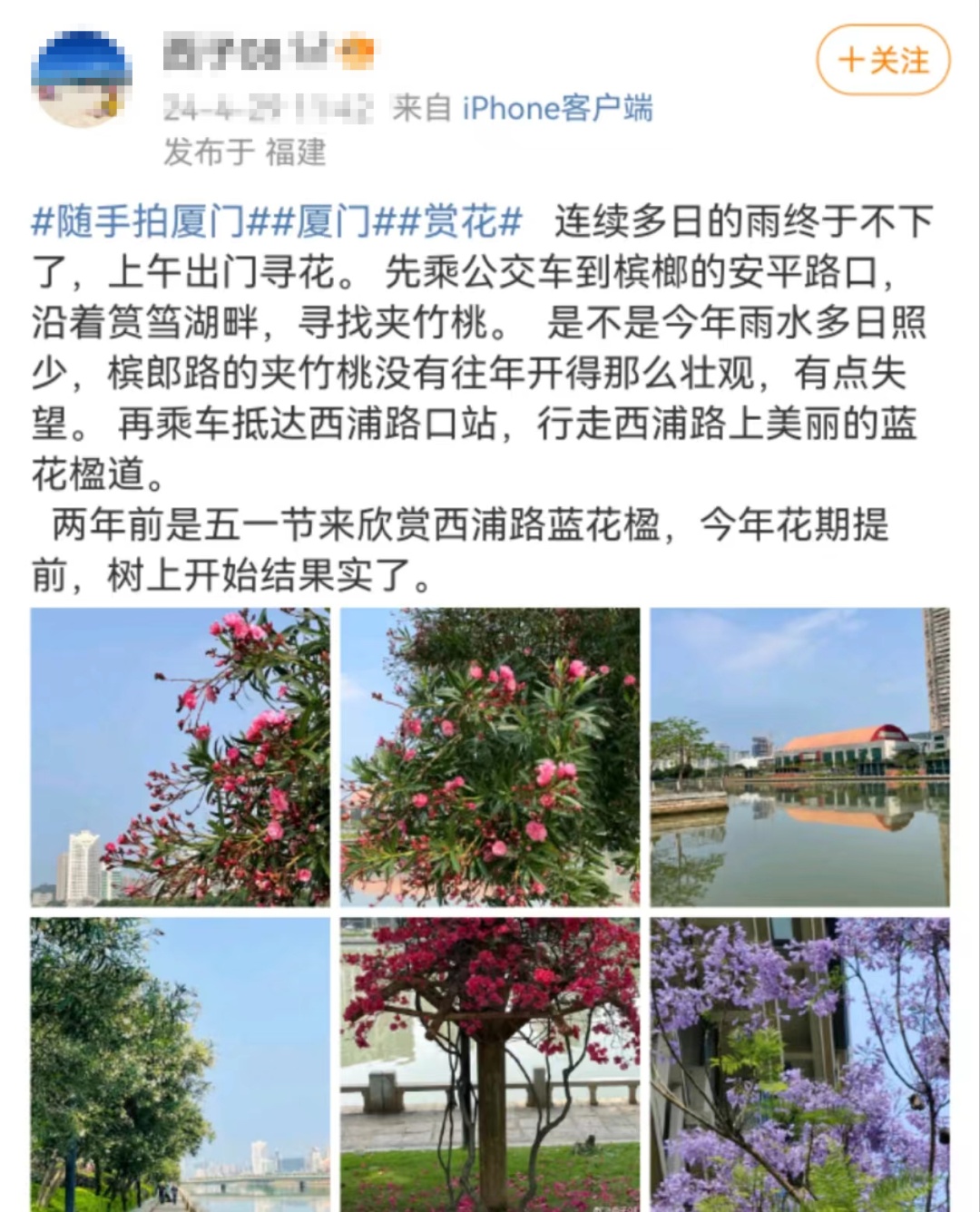 厦门已大量出现！有毒！千万别乱碰