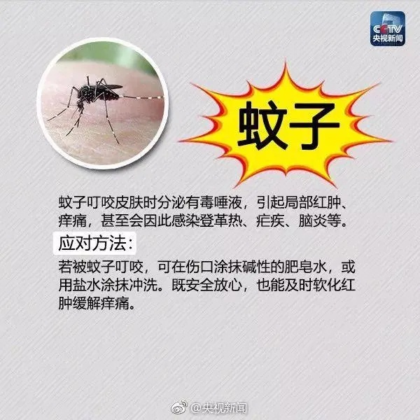 已入侵12个省份！有致命危险，发现立即上报