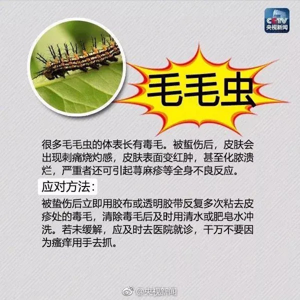已入侵12个省份！有致命危险，发现立即上报