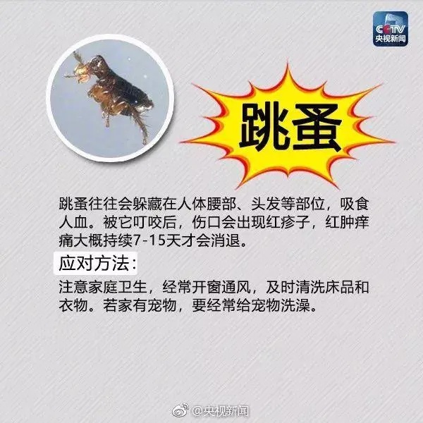 已入侵12个省份！有致命危险，发现立即上报