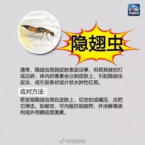 已入侵12个省份！有致命危险，发现立即上报