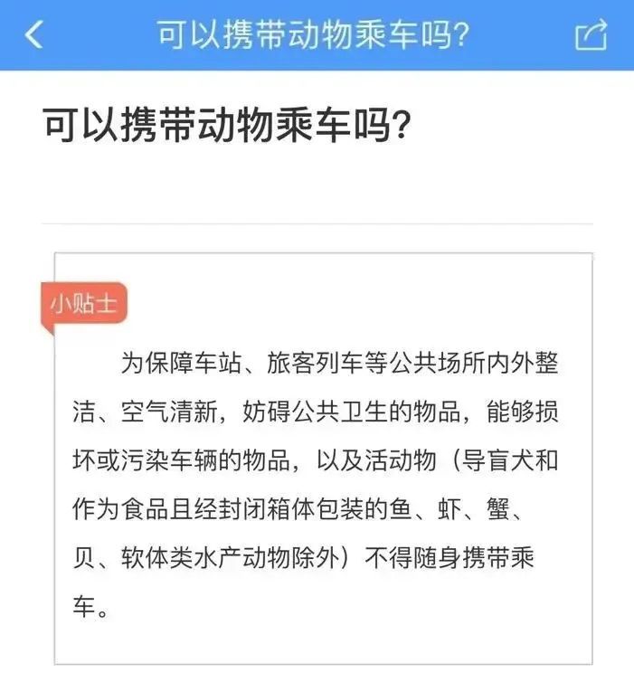 宠物有望带上高铁？专家：客运服务和宠物运载需求都要兼顾