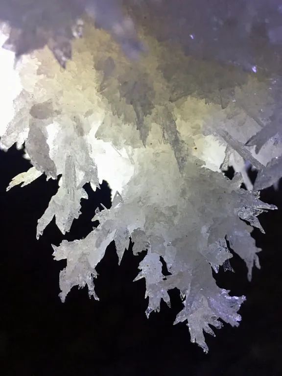 一张门票9999元!这是什么特别景点? 一张门票9999元!这是什么特别景点?