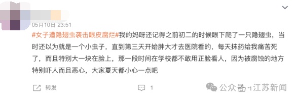 它已进入活跃期，很多人遭受袭击！