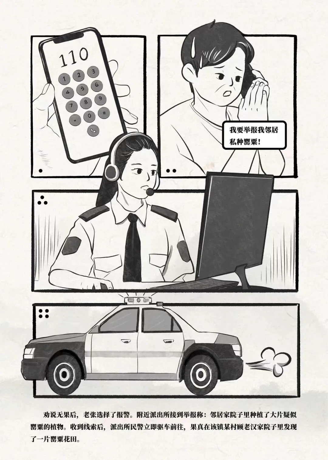 罂粟不是普通花,种下一棵也犯法 罂粟不是普通花,种下一棵也犯法