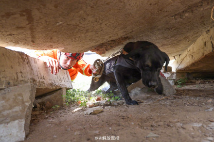 看现场！应急救援演练正在进行中