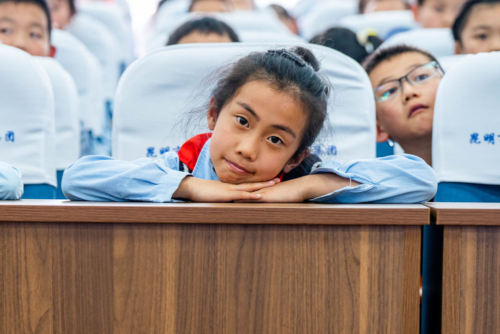 中医药进校园，竟从奥运赛场讲起