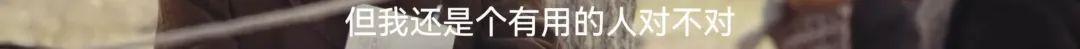 美到封神！《我的阿勒泰》太！好！看！啦！