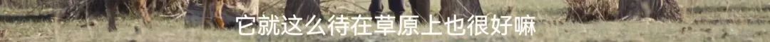 美到封神！《我的阿勒泰》太！好！看！啦！