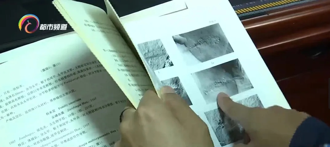 蜘蛛、蝎子5.2亿年前的祖先可能长这样!云大科研团队最新发现...... 蜘蛛、蝎子5.2亿年前的祖先可能长这样!云大科研团队最新发现......