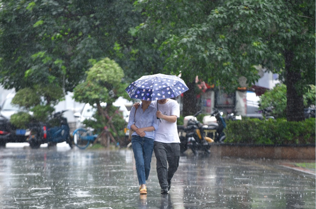 久违的阳光要露脸?本周还有冷空气来送“惊喜” 久违的阳光要露脸?本周还有冷空气来送“惊喜”
