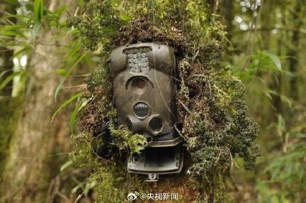 警惕!间谍假冒外国教授窃取我国生态数据 警惕!间谍假冒外国教授窃取我国生态数据