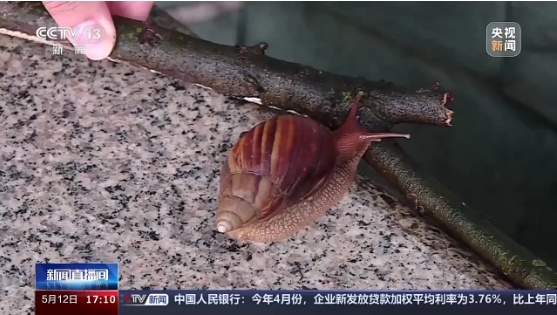 警惕！千万别碰、别吃！有人摸了后持续高烧……