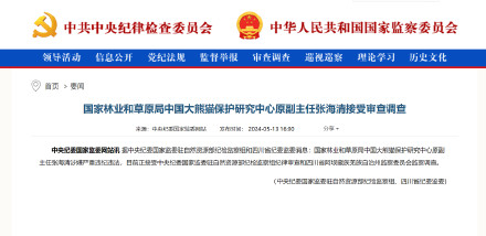 张海清接受审查调查 张海清接受审查调查