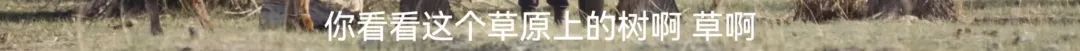 美到封神！《我的阿勒泰》太！好！看！啦！