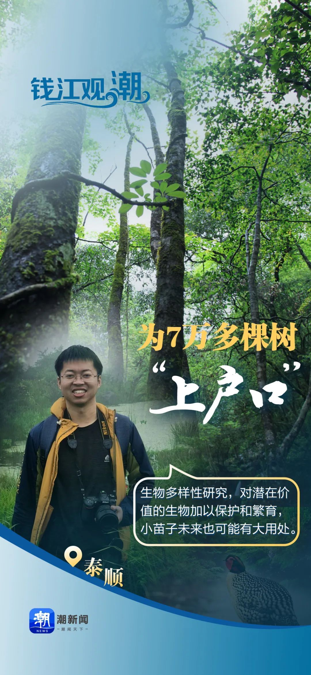 钱江观潮丨为7万多棵树“上户口” 钱江观潮丨为7万多棵树“上户口”