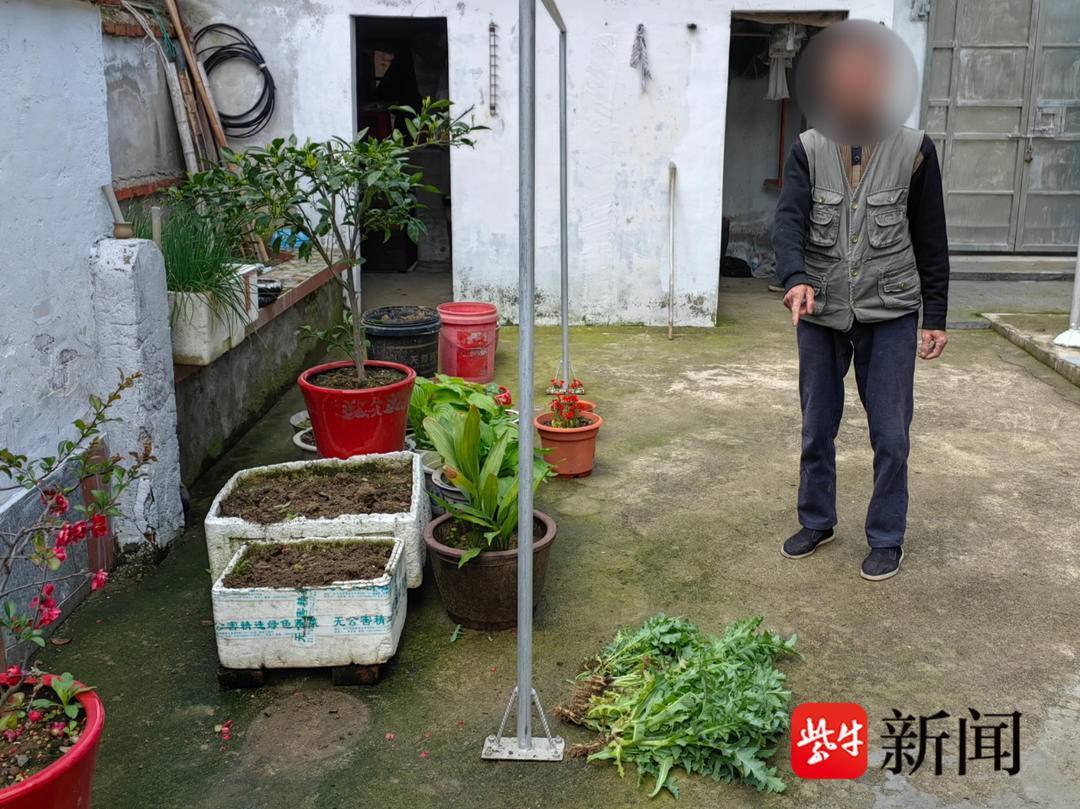 罂粟开花时节易识别，民警上门踏查铲毒