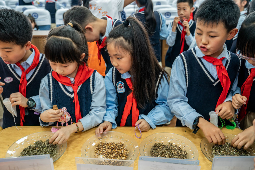 中医药进校园，竟从奥运赛场讲起