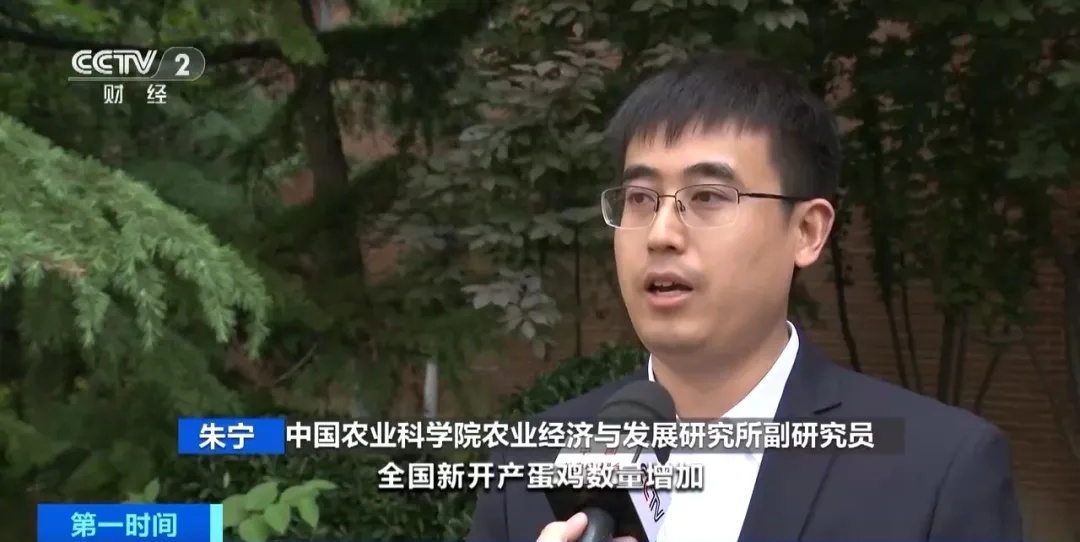 跌至3.6元一斤！杭州人大呼：现在这么便宜