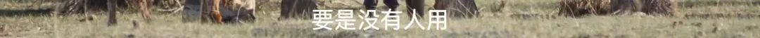 美到封神！《我的阿勒泰》太！好！看！啦！