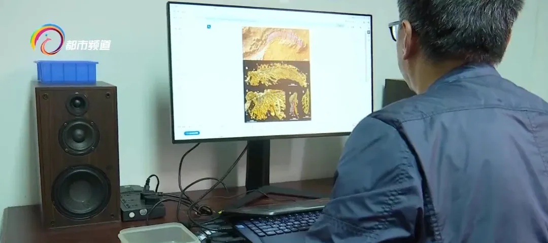 蜘蛛、蝎子5.2亿年前的祖先可能长这样!云大科研团队最新发现...... 蜘蛛、蝎子5.2亿年前的祖先可能长这样!云大科研团队最新发现......