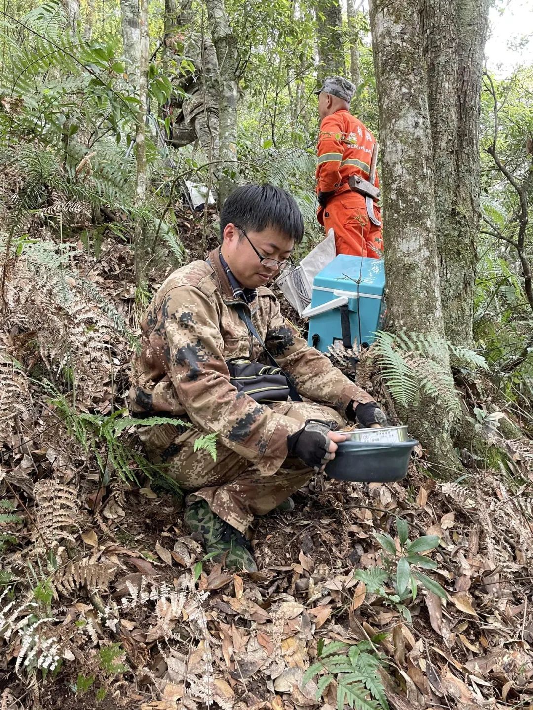 钱江观潮丨为7万多棵树“上户口” 钱江观潮丨为7万多棵树“上户口”