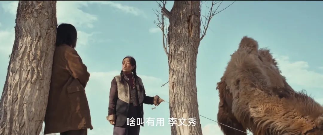 美到封神！《我的阿勒泰》太！好！看！啦！