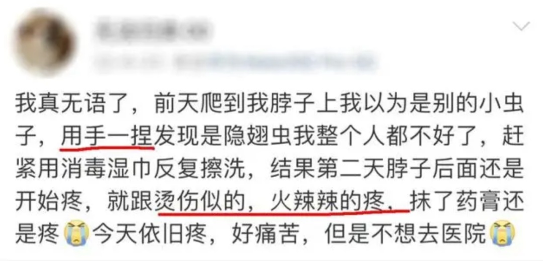 它已进入活跃期，很多人遭受袭击！