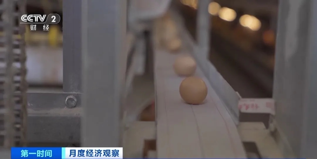 跌至3.6元一斤！杭州人大呼：现在这么便宜