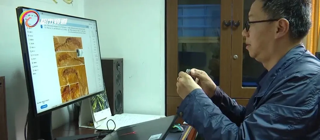 蜘蛛、蝎子5.2亿年前的祖先可能长这样!云大科研团队最新发现...... 蜘蛛、蝎子5.2亿年前的祖先可能长这样!云大科研团队最新发现......