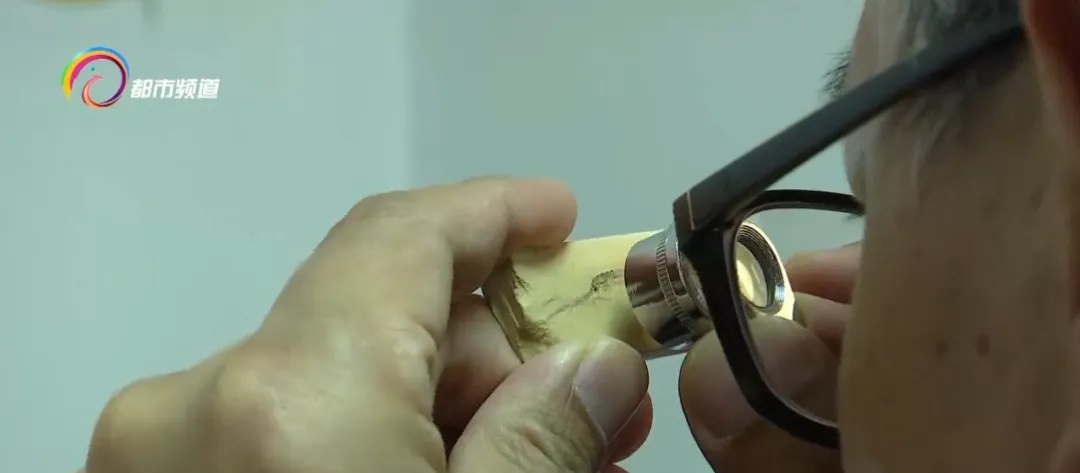 蜘蛛、蝎子5.2亿年前的祖先可能长这样!云大科研团队最新发现...... 蜘蛛、蝎子5.2亿年前的祖先可能长这样!云大科研团队最新发现......