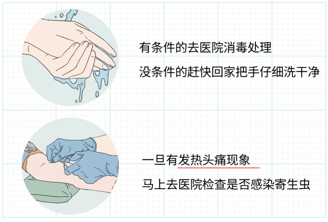 警惕！千万别碰、别吃！有人摸了后持续高烧……