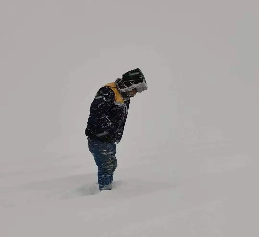初夏,这里突遇暴雪! 初夏,这里突遇暴雪!