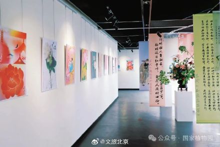 快去拍！北京芍药花海美爆了