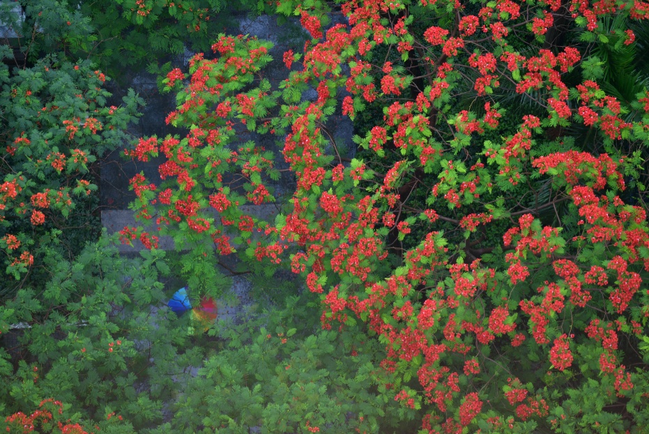 久违的阳光要露脸?本周还有冷空气来送“惊喜” 久违的阳光要露脸?本周还有冷空气来送“惊喜”